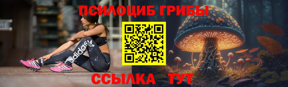 Галлюциногенные грибы мухоморы  где продают   Псилоцибиновые грибы Magic Shrooms  Котельники  Вход с VPN 